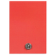 Lapel Pin and Card
